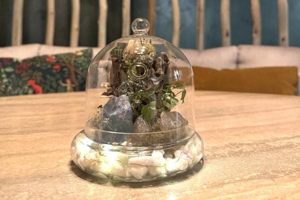 Terrarium Building + Thermal