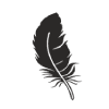 Feather icon