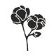 Cotton boll icon