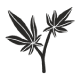 Hemp leaf icon