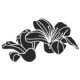 Kapok flower icon