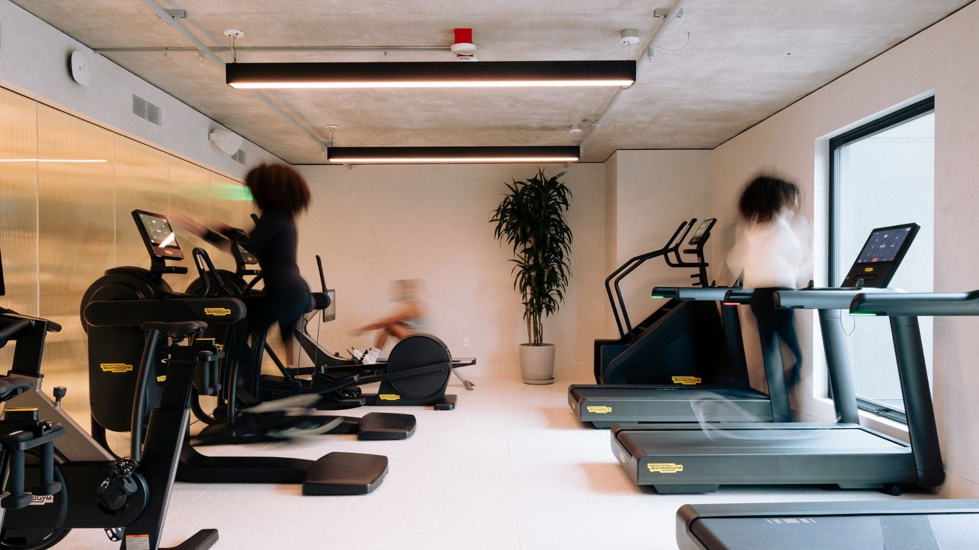 Cardio Studio