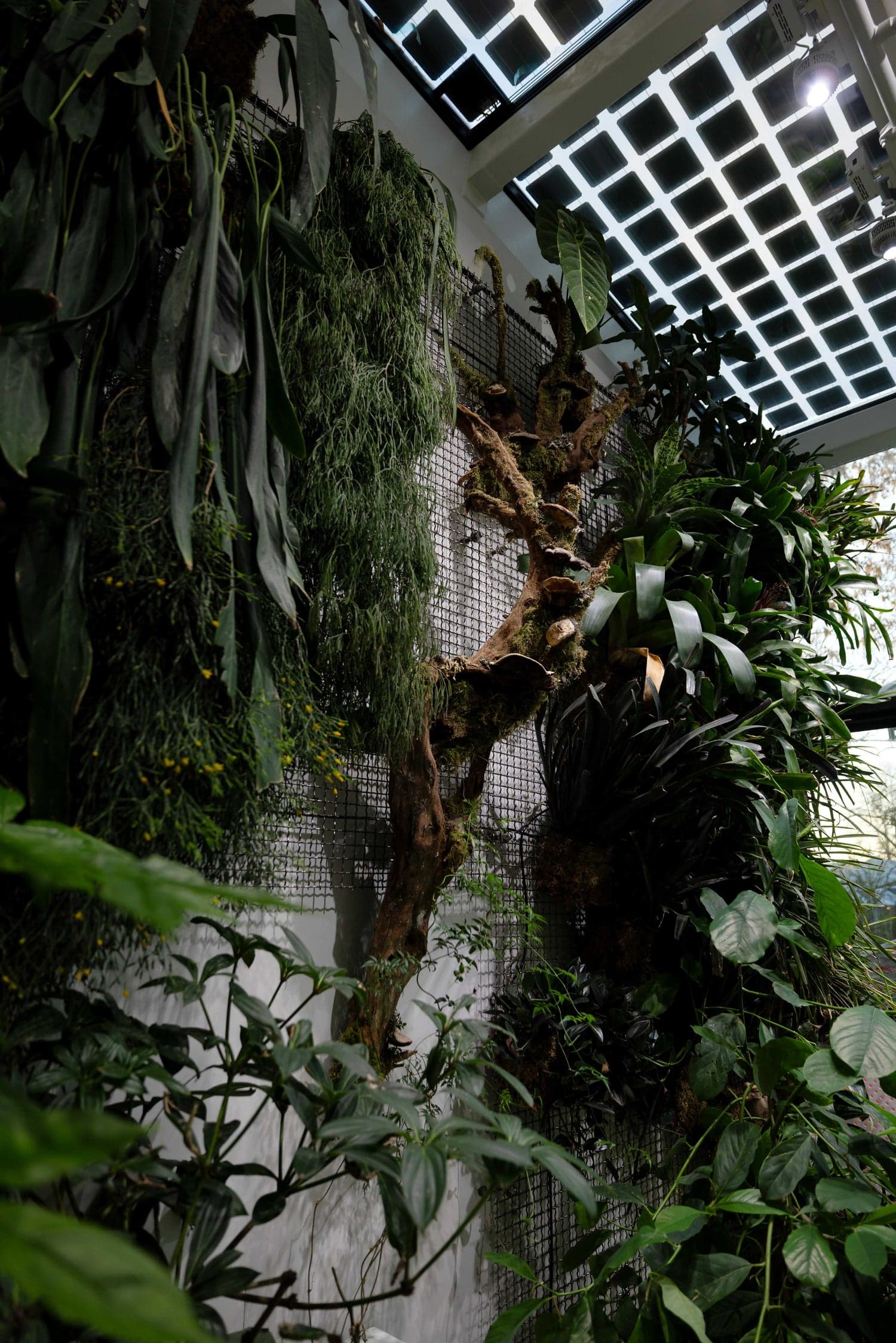 The Conservatory