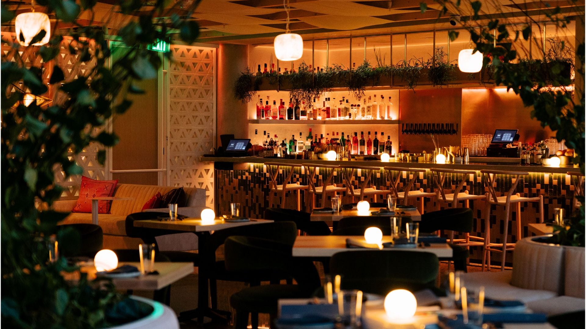 Terra Mae in the evening, candlelit tables and low banquettes in front of a long backlit bar, with trailing greenery hanging from the ceiling across the room.