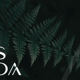 Cascada Wellness Gift Card