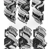 Forbidden fruit (The coincidental overlap of our existence & an apple)