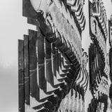 Forbidden fruit (The coincidental overlap of our existence & an apple)