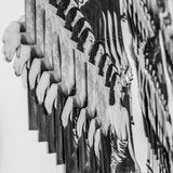 Forbidden fruit (The coincidental overlap of our existence & an apple)