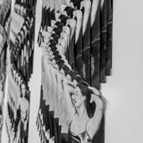 Forbidden fruit (The coincidental overlap of our existence & an apple)